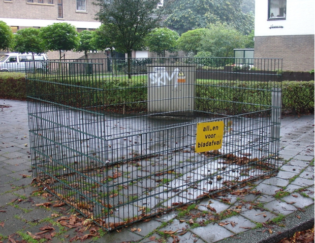 Bladkorven afbeelding